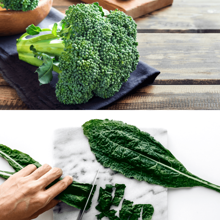 Broccoli Vs Kale - Which Is Better? | Five Journeys