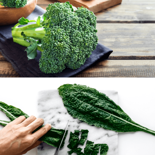 Close-up of fresh kale and broccoli florets, emphasizing their vibrant colors and textures, representing the abundance of nutrients they offer.