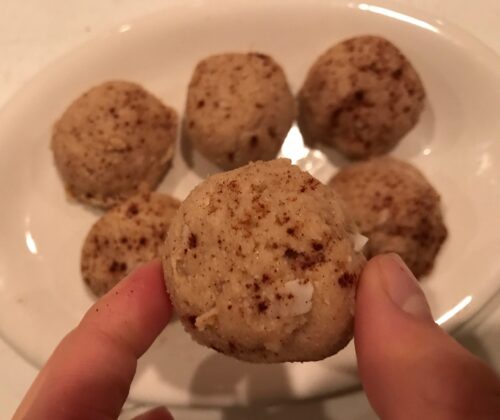 Snickerdoodle Fat Balls