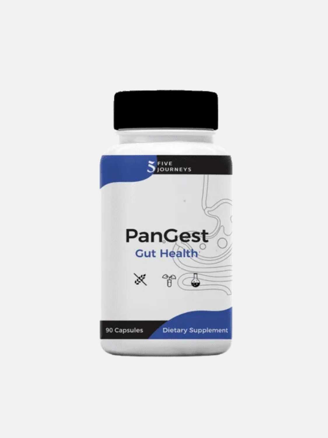 PanGest
