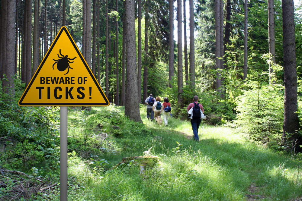 A warning sign for hikers to “beware of ticks” in a forest with people walking