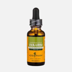 Uva Ursi