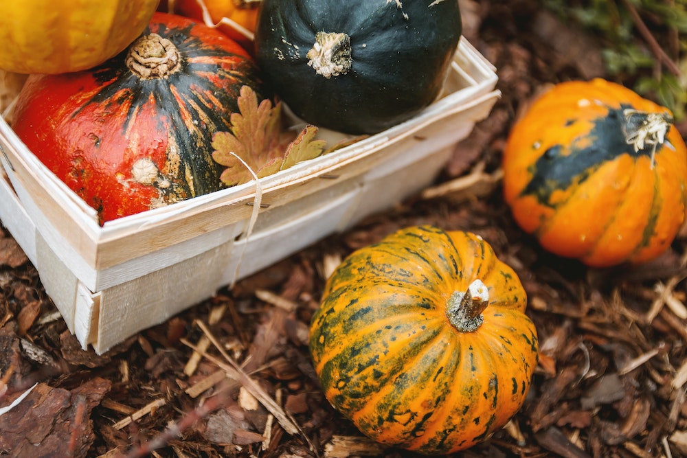 5 Innovative Ways to Incorporate Winter Squash in The Kitchen