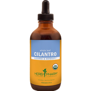 Cilantro 4 oz