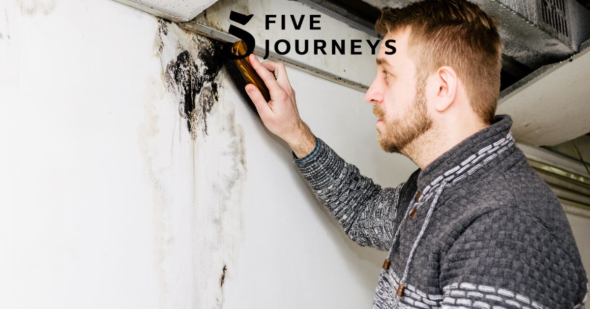 A man scrapes mold-infested paint from a wall without wearing protective gear, highlighting the risks of improper mold removal and the importance of professional guidance.