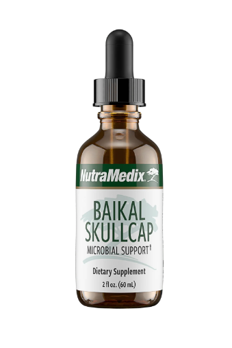Baikal Skullcap